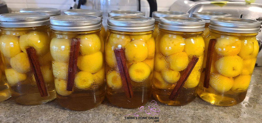 Fireball Crabapples